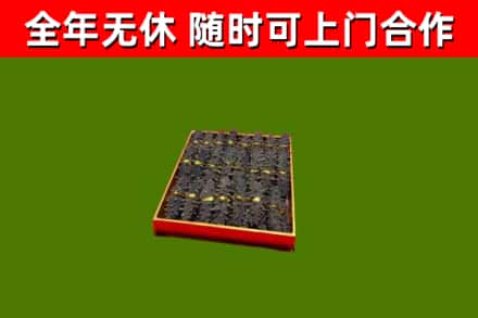 昌江县回收海参